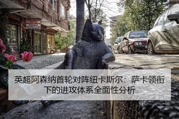 ying-chao-a-sen-na-shou-lun-dui-zhen-niu-ka-si-er-sa-ka-ling-xian-xia-de-jin-gong-ti-xi-quan-mian-xing-fen-xi-3-571.jpg